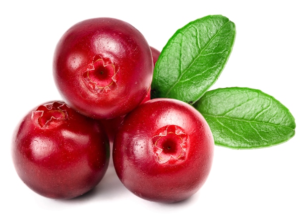 Aos poucos o cranberry tem ganhado popularidade no Brasil. (Foto: Divulgação)