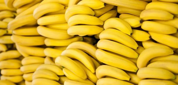 Banana engorda 