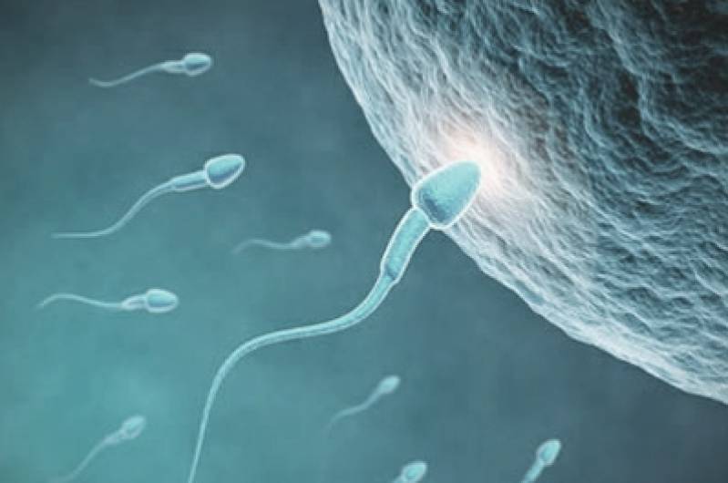 Vasectomia Como Funciona Resolve Mesmo 