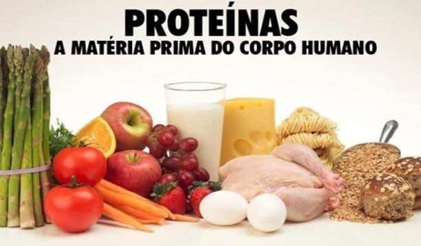 Proteínas: porque são importantes? Como consumir?