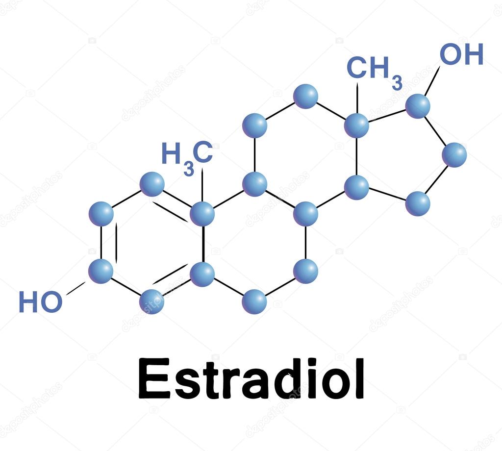estradiol hormonio