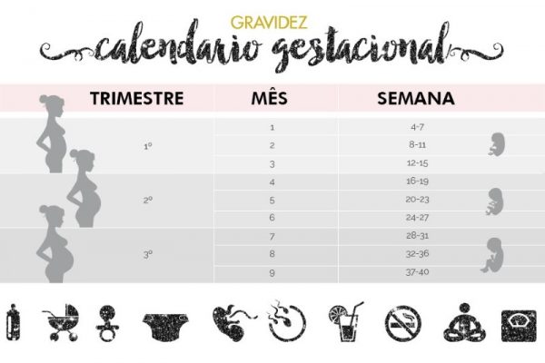 Calculadora Semanas De Gestación Por Usg – JEBL