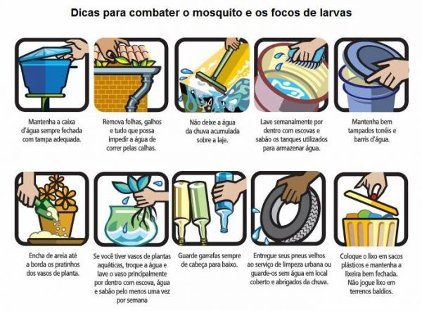 dicas doenças mosquito