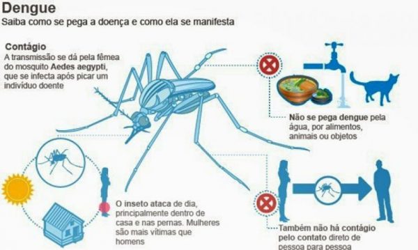 doença moskito dengue