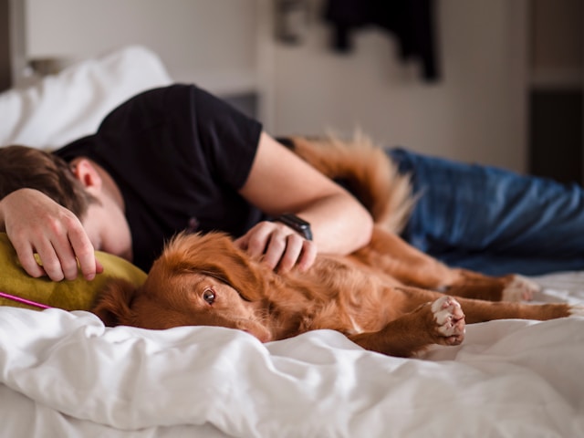 Como Dormir Mais Pode Melhorar Sua Saúde